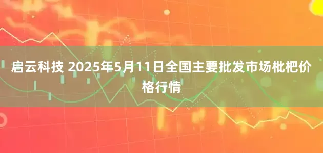 启云科技 2025年5月11日全国主要批发市场枇杷价格行情