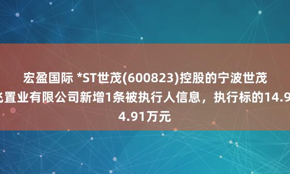 宏盈国际 *ST世茂(600823)控股的宁波世茂新腾飞置业有限公司新增1条被执行人信息，执行标的14.91万元