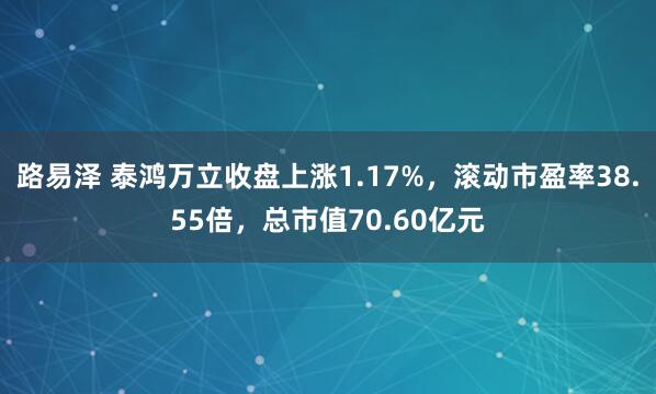 路易泽 泰鸿万立收盘上涨1.17%，滚动市盈率38.55倍，总市值70.60亿元