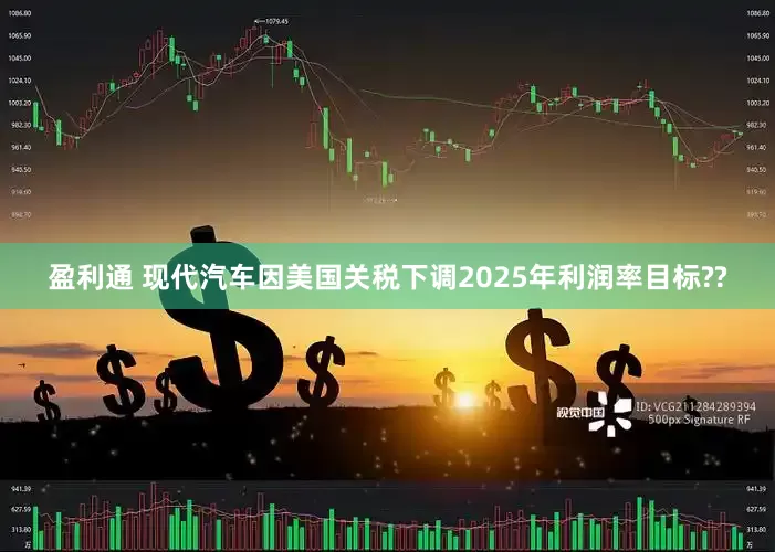 盈利通 现代汽车因美国关税下调2025年利润率目标??